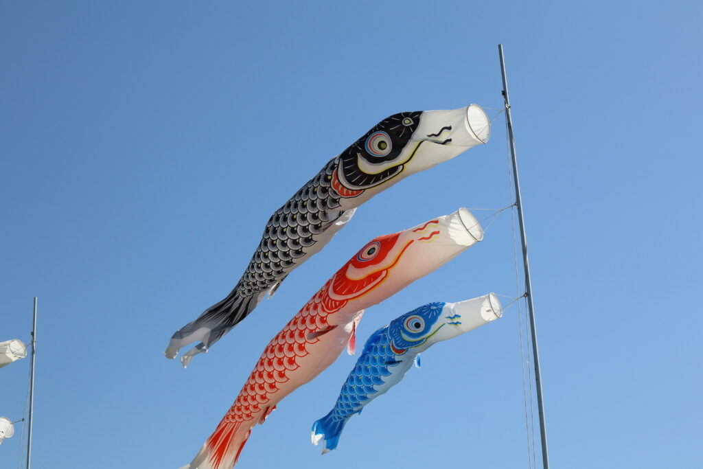 GWは王寺町へGO！】色とりどりの「こいのぼり」が大和川の空を泳ぐ